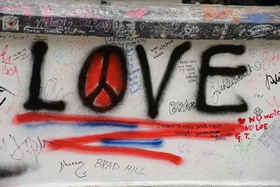 DSC_6151 (Large).JPG